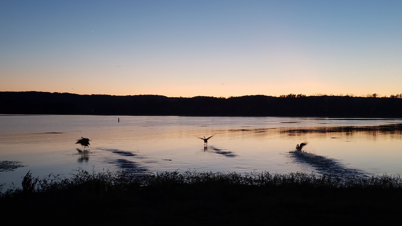 Photo of Others in Prairie Du Chien