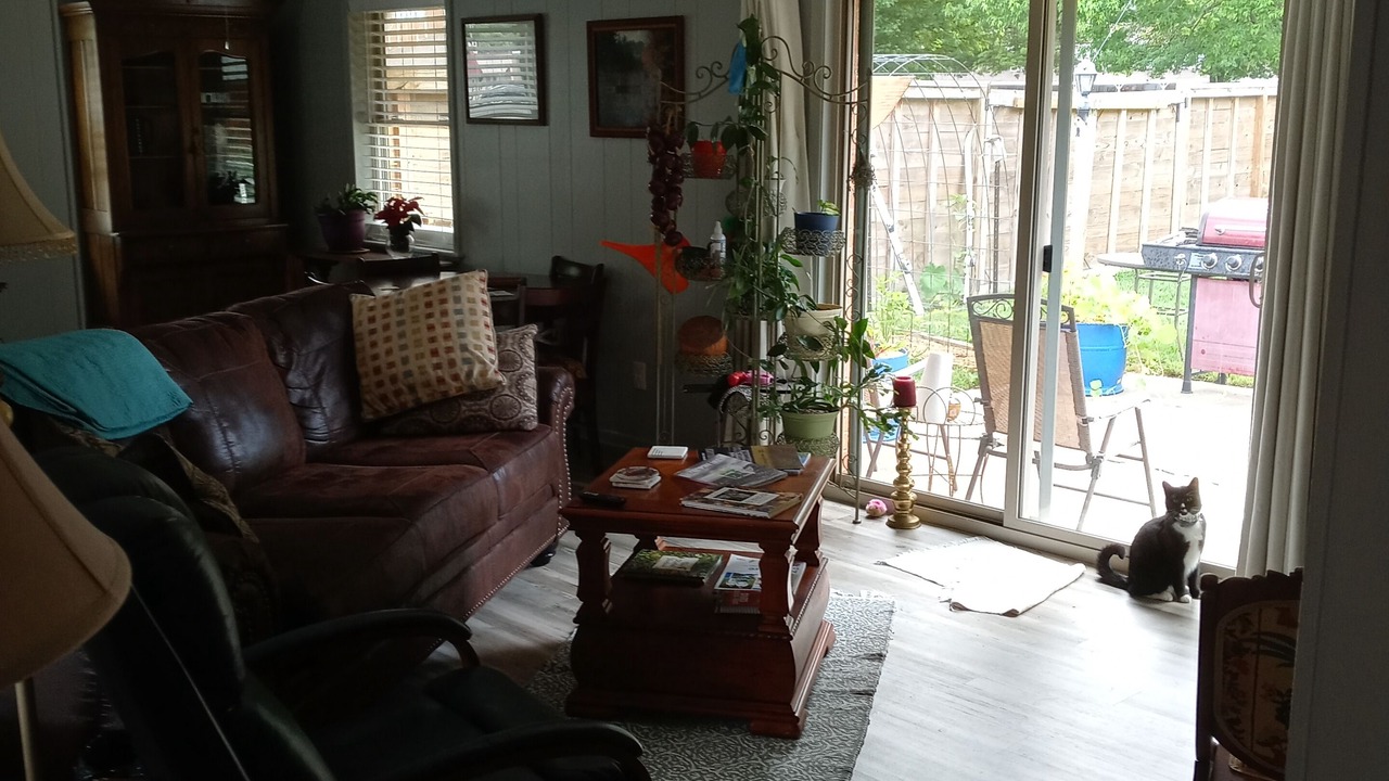 Photo of Livingroom in Springdale