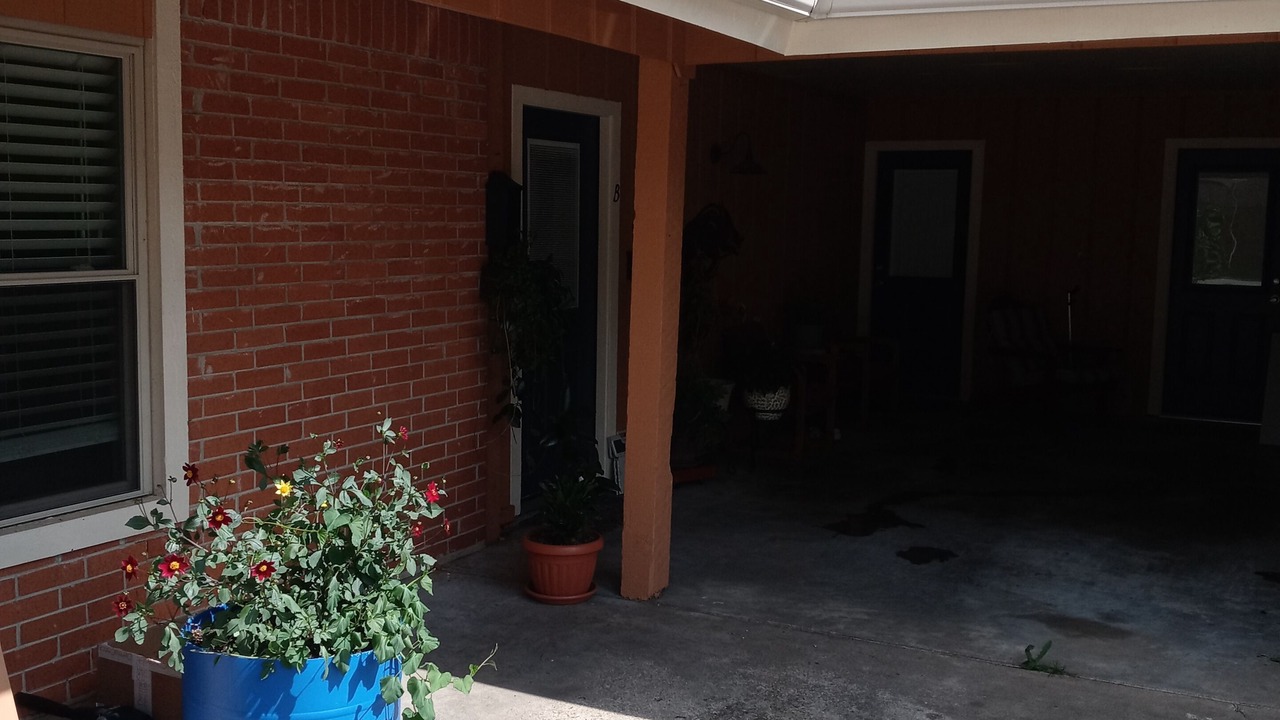 Photo of Outdoor in Springdale
