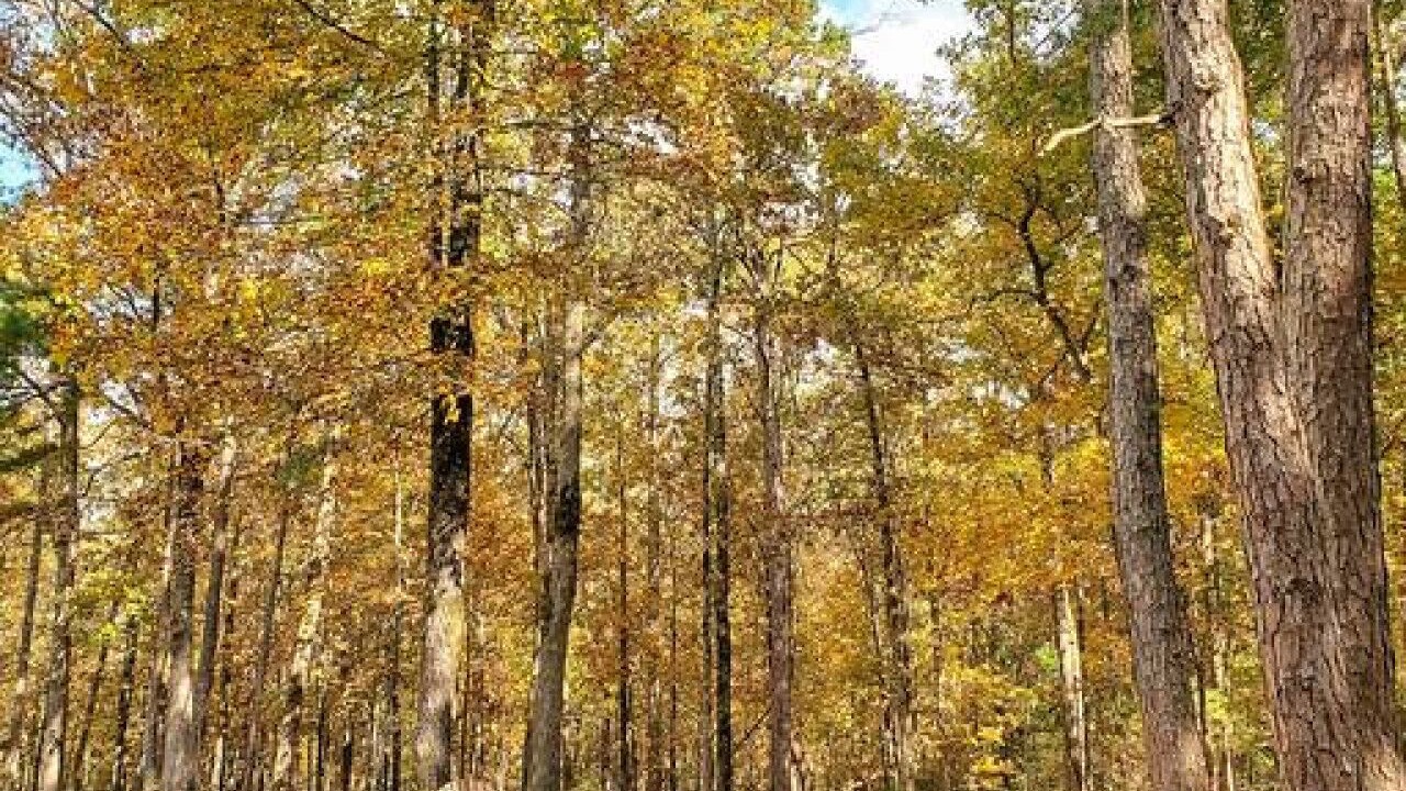 Photo of Outdoor in Winrock