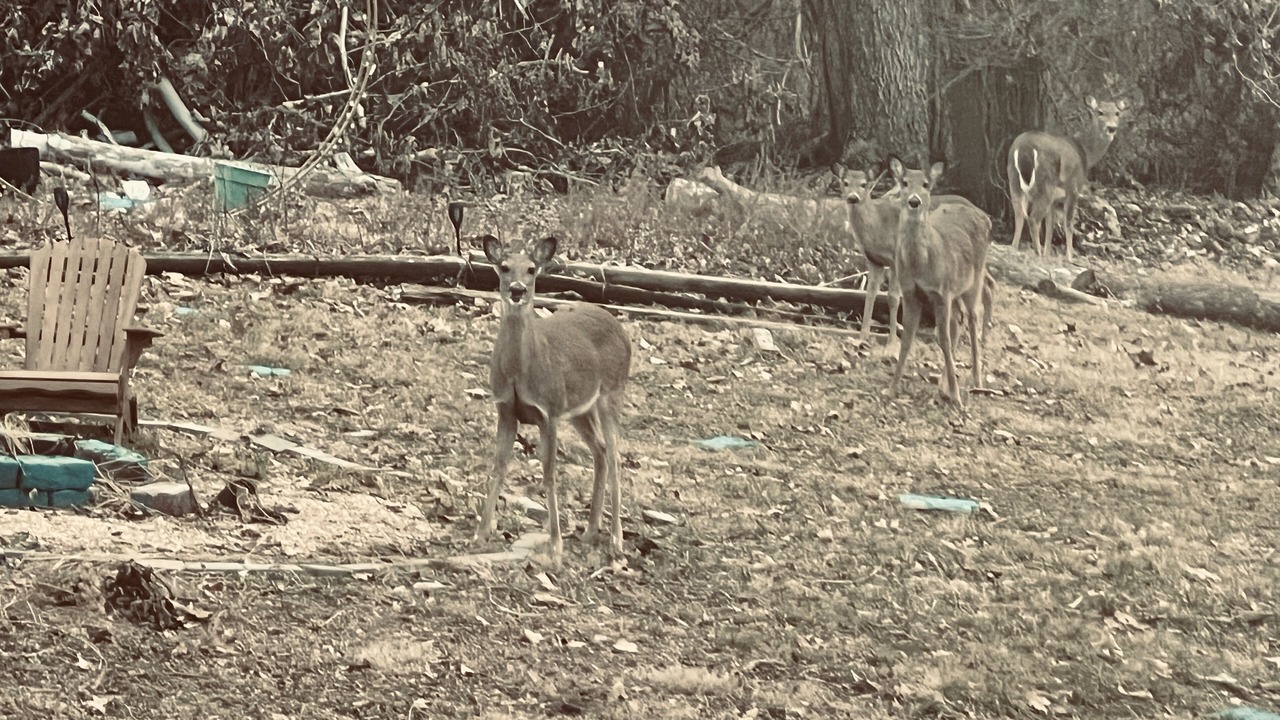 Photo of Others in Turners