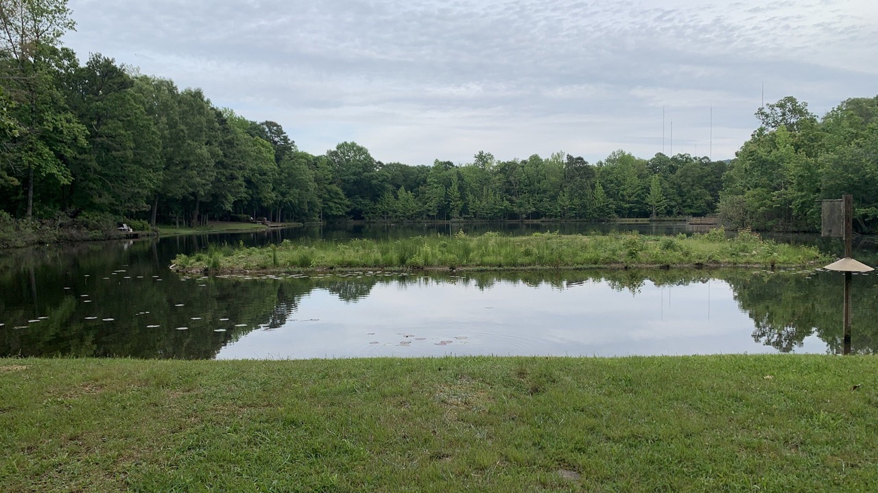 Photo of Outdoor in Ferndale