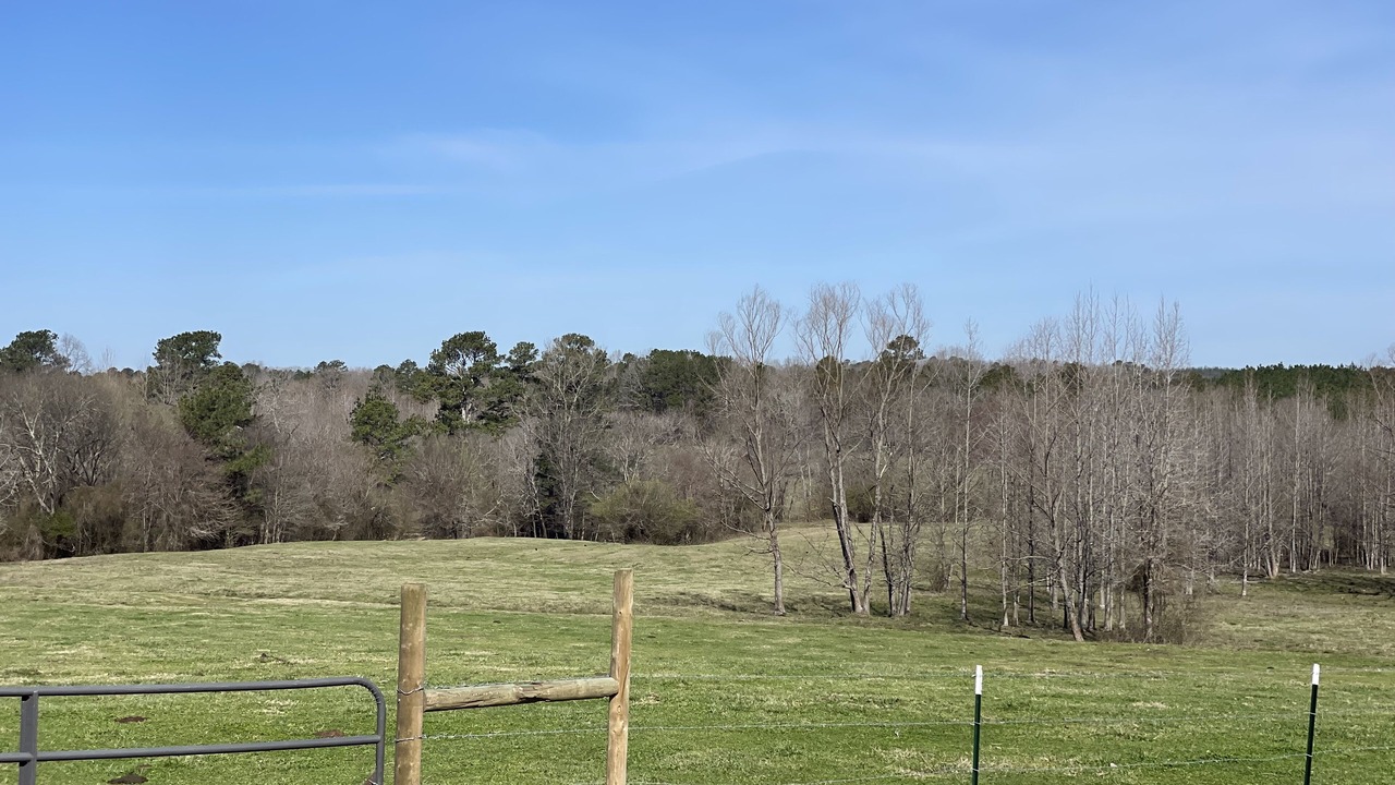 Photo of Outdoor in Pearcy