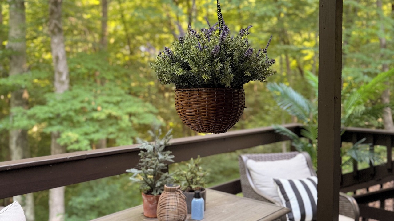Photo of Patio Balcony in Scottsville