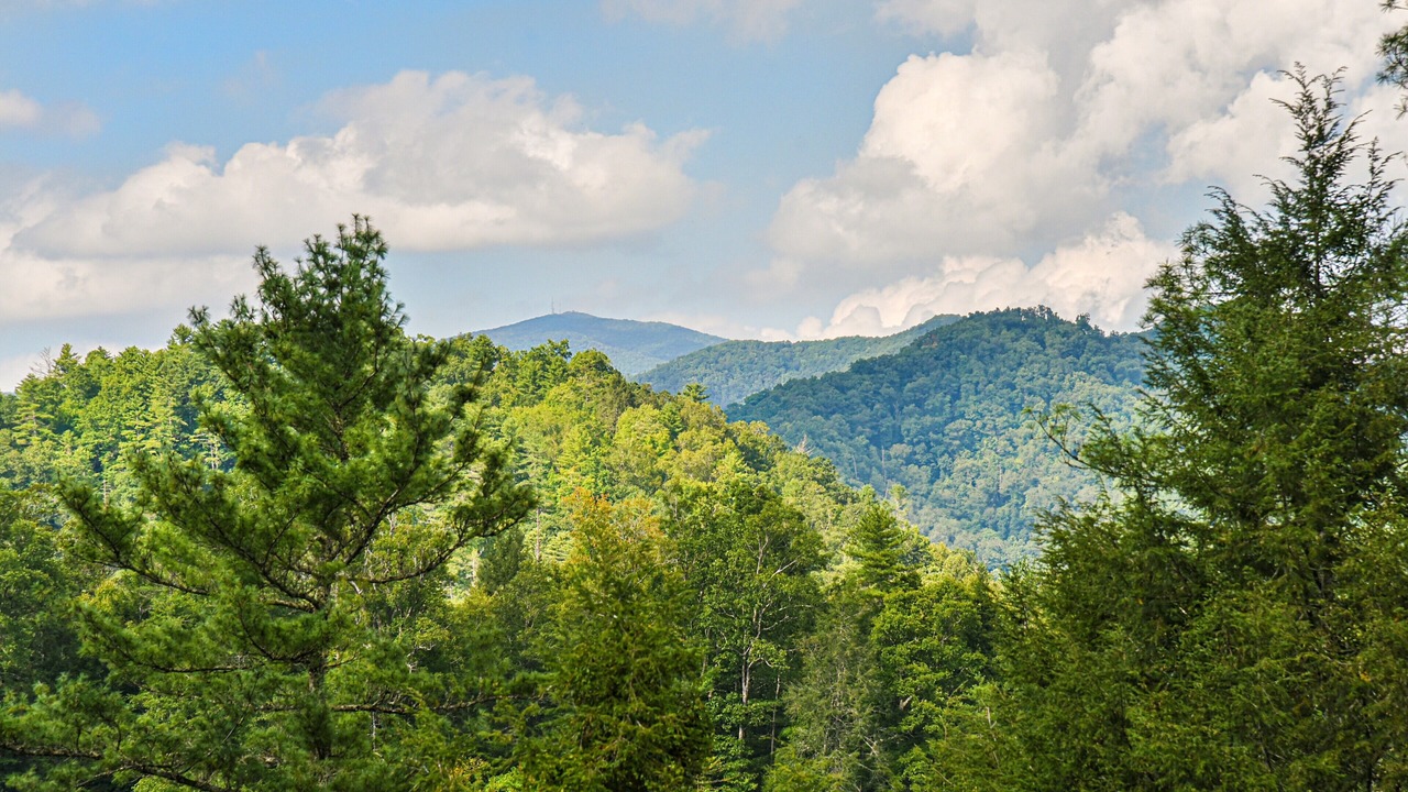 Photo of Others in Marshall