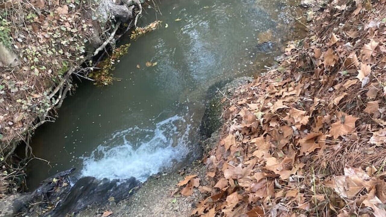 Photo of Others in Greers Ferry