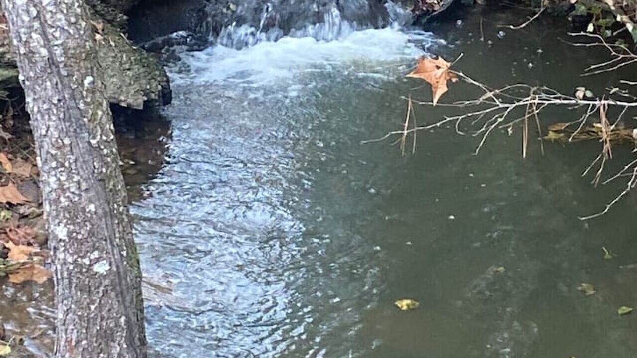 Photo of Others in Greers Ferry