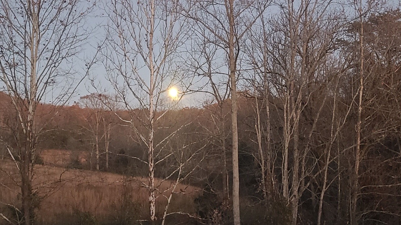 Photo of Outdoor in Cub Run
