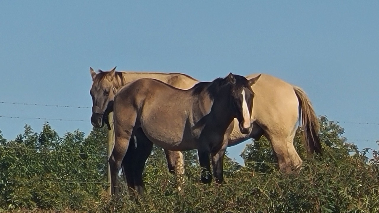 Photo of Others in Cub Run