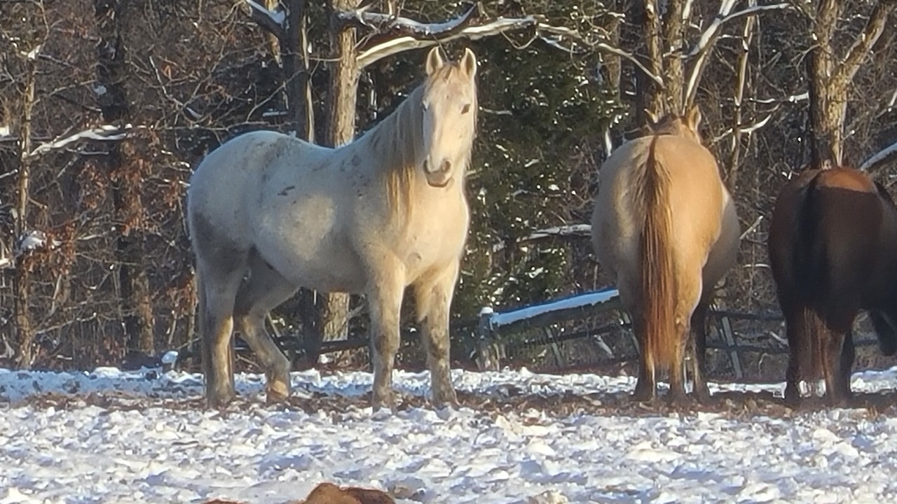 Photo of Others in Cub Run