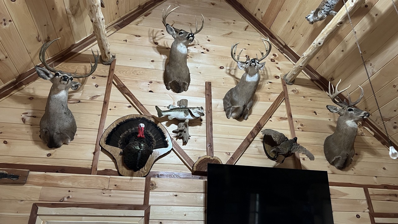 Photo of Others in Newnata