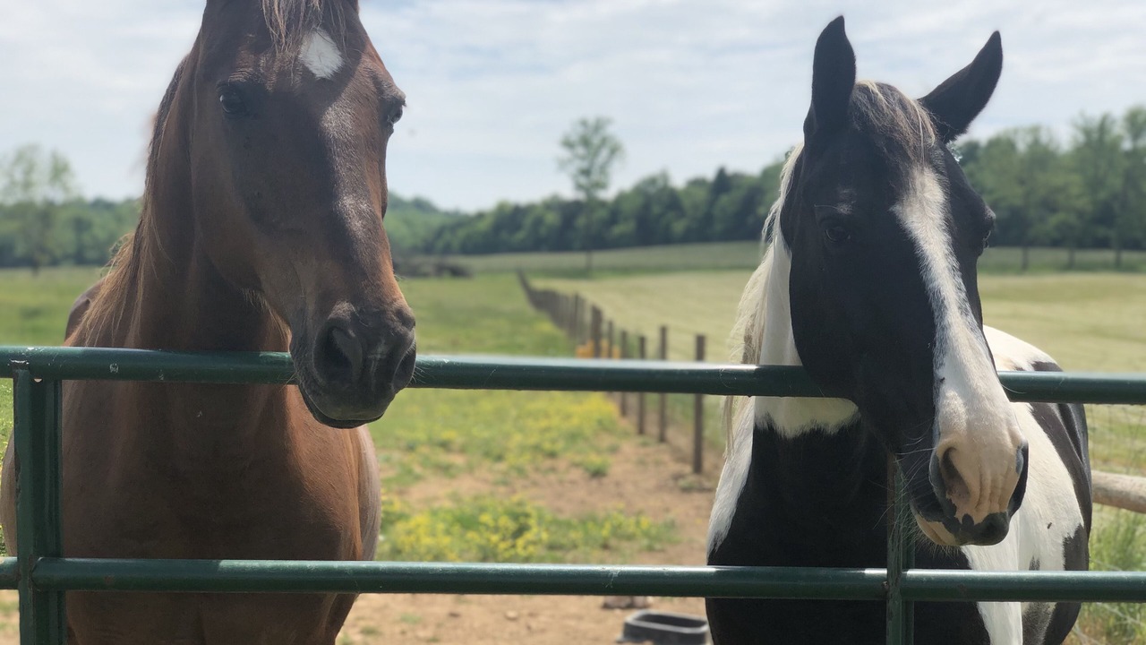 Photo of Outdoor in Horse Cave