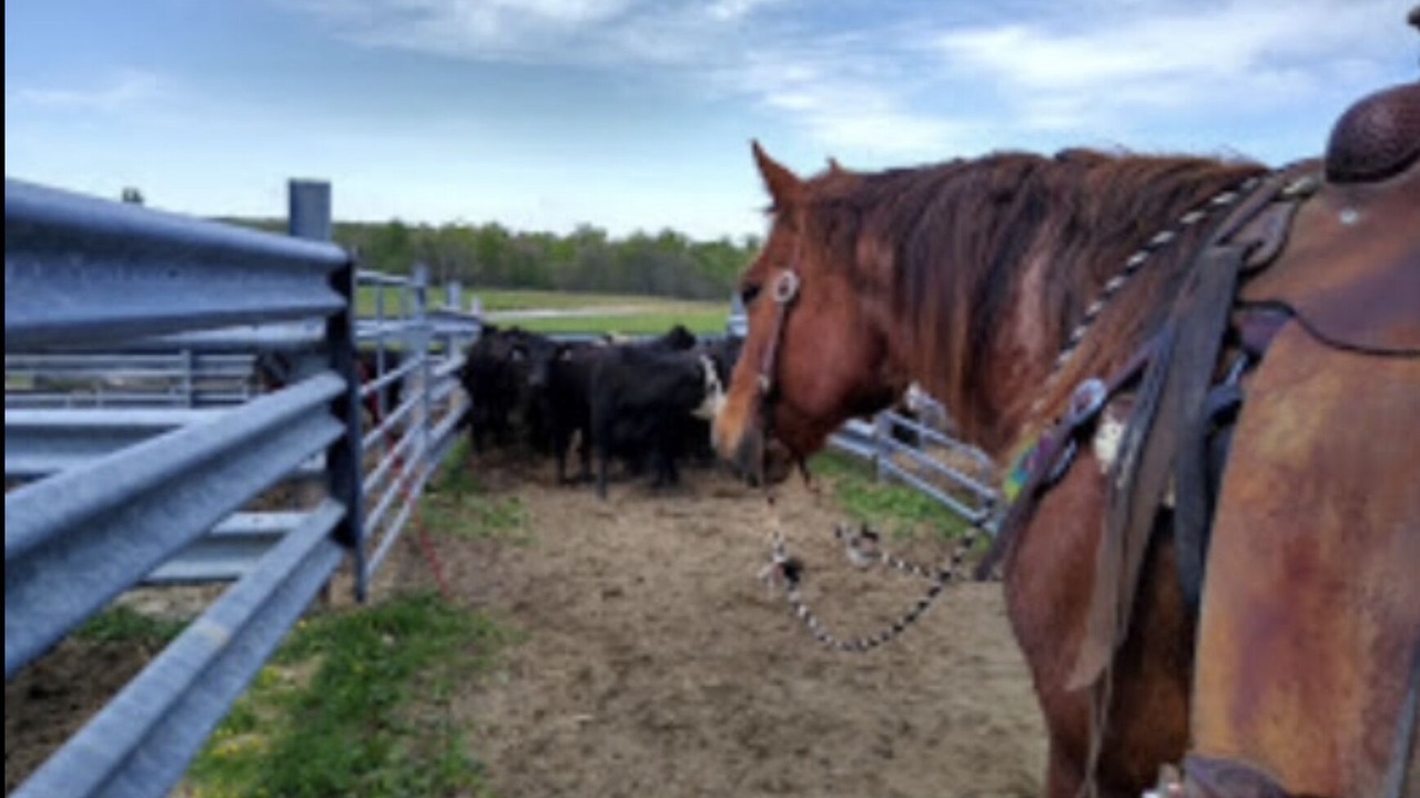 Photo of Others in Altamont