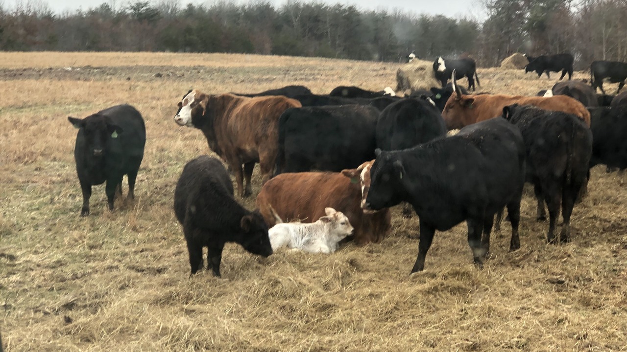 Photo of Others in Altamont