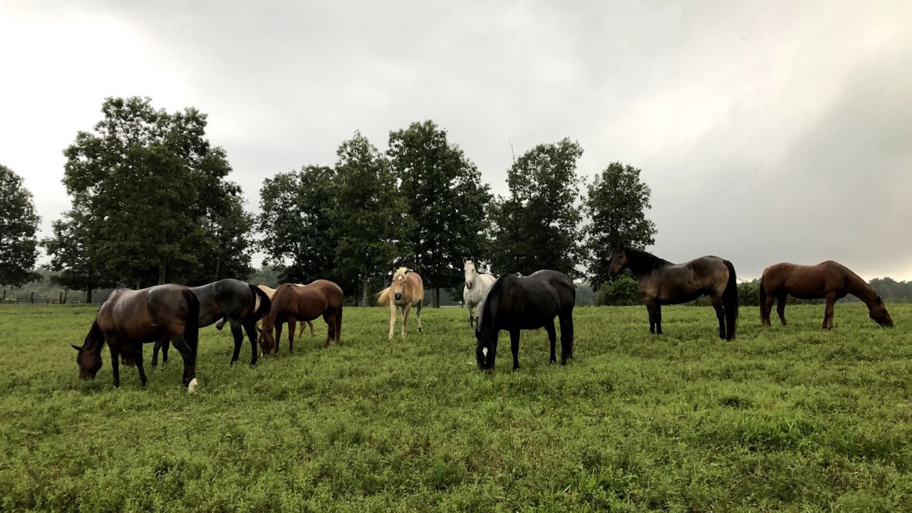 Photo of Outdoor in Altamont