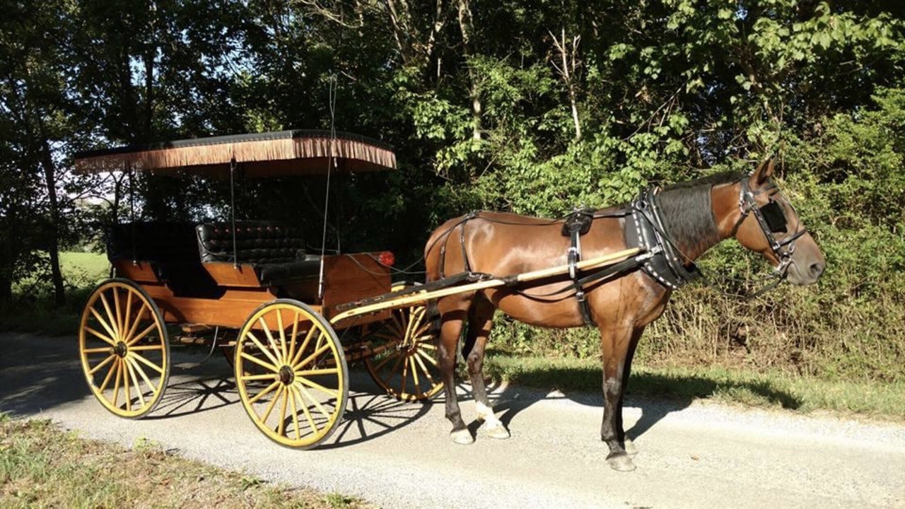 Photo of Others in Altamont