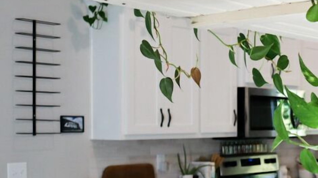 Photo of Kitchen in North Kansas City
