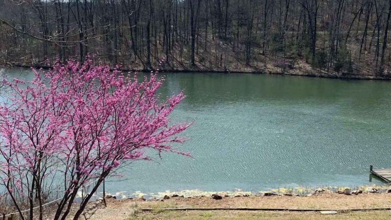Photo of Others in Cherokee Village
