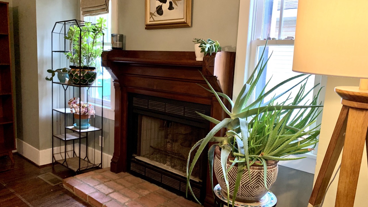 Photo of Livingroom in Capital View