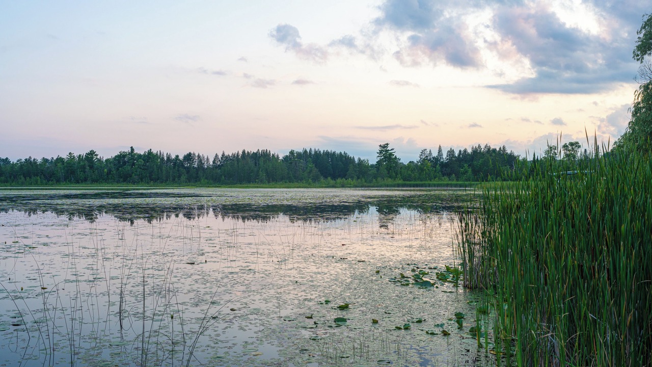 Photo of Outdoor in Iola