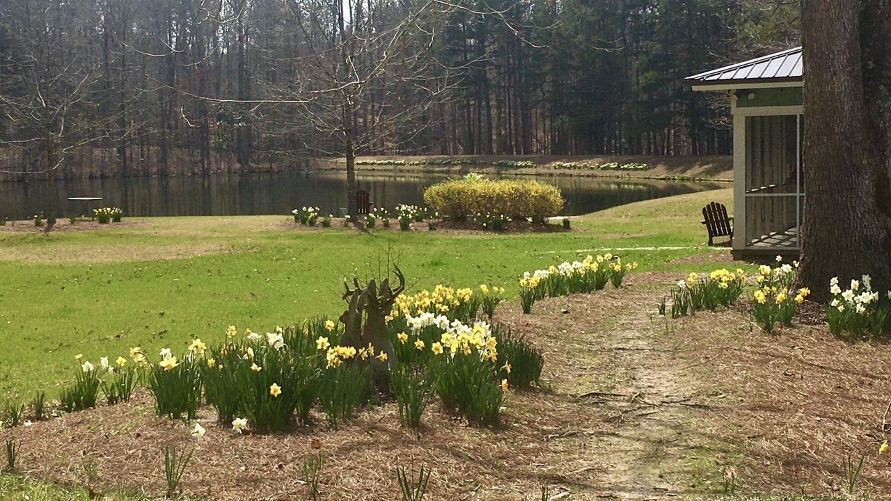 Photo of Outdoor in Rolling Wood