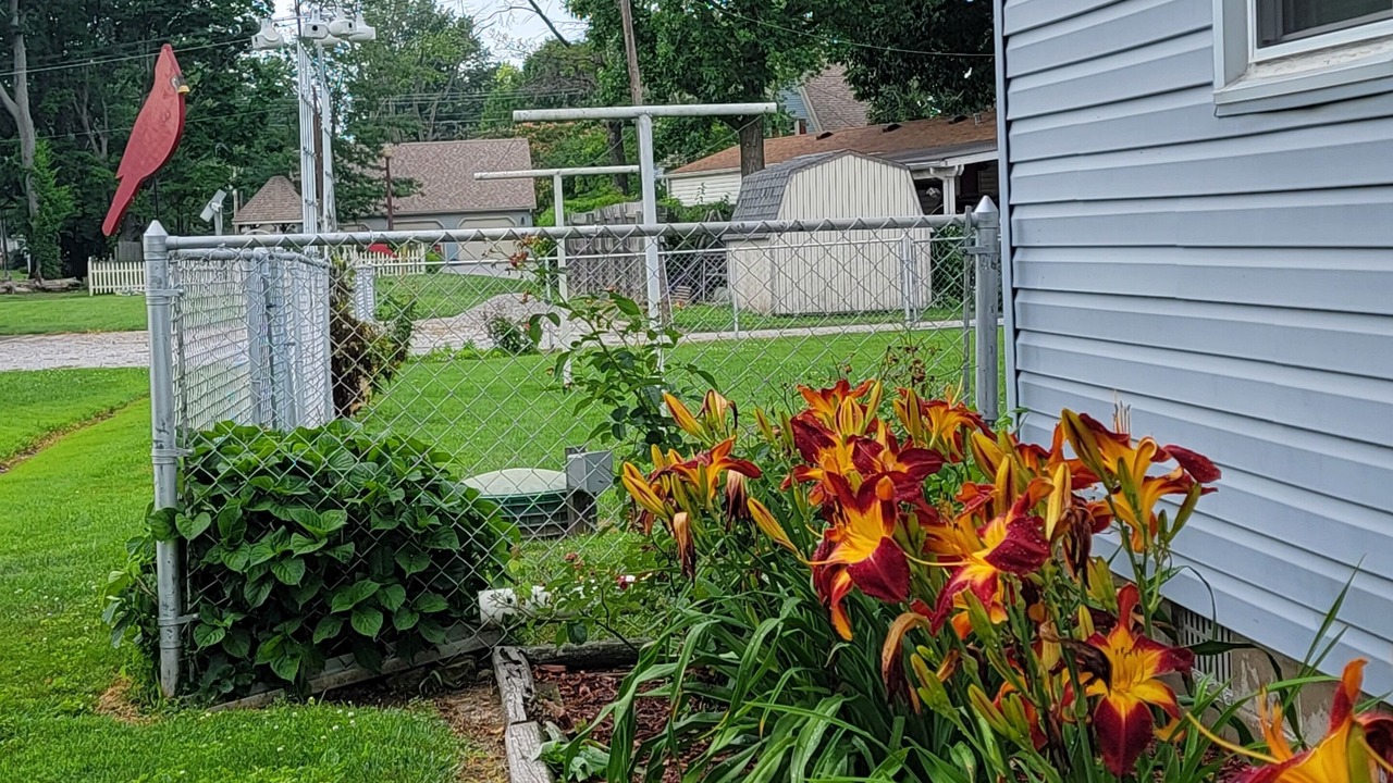 Photo of Outdoor in Casey