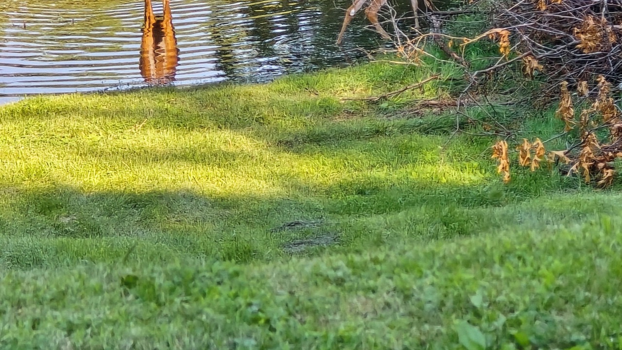 Photo of Others in St. Joseph