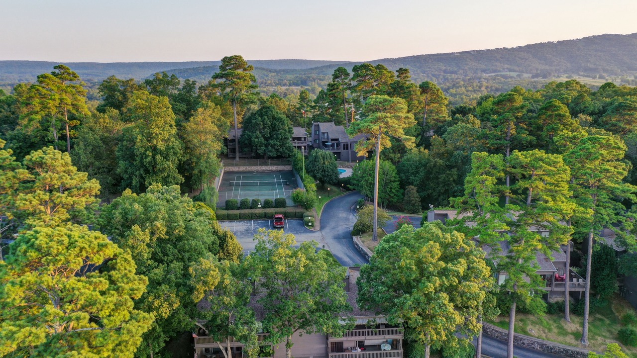 Photo of Outdoor in Lake Hamilton