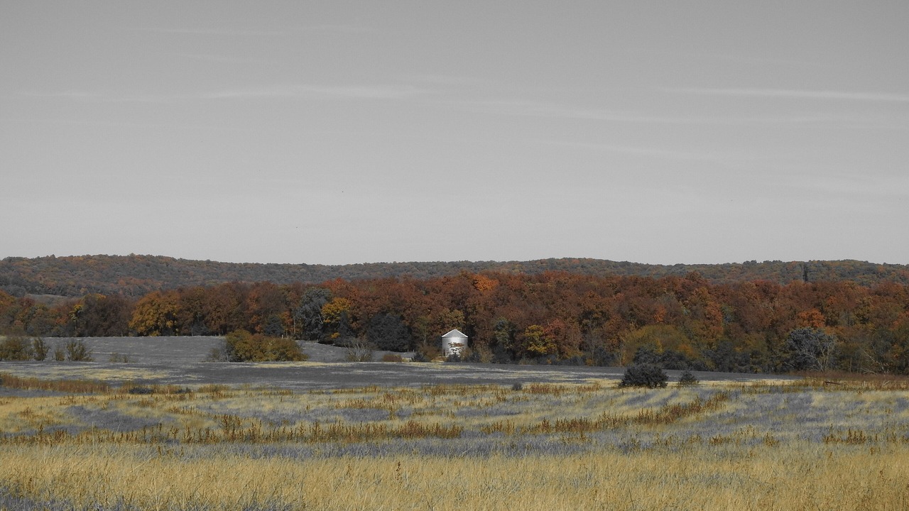 Photo of Others in Ste Genevieve