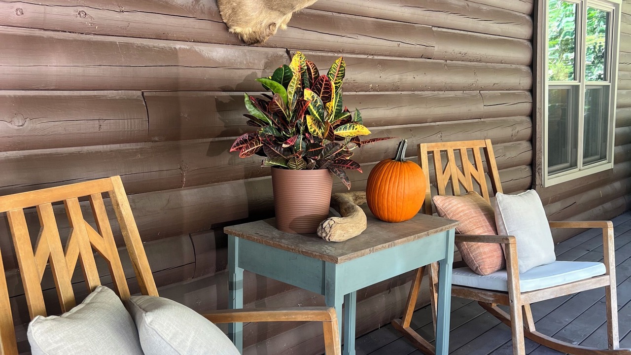Photo of Patio Balcony in Silver Point