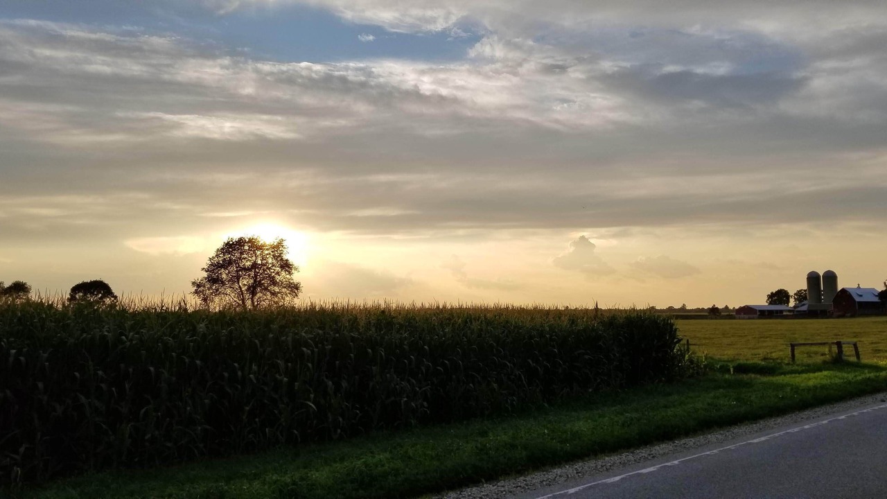Photo of Others in Adams County