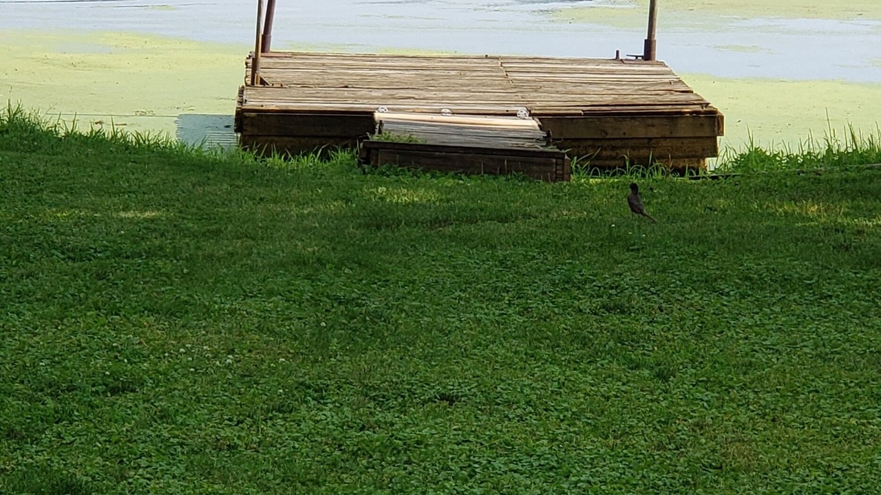 Photo of Others in Brice Prairie