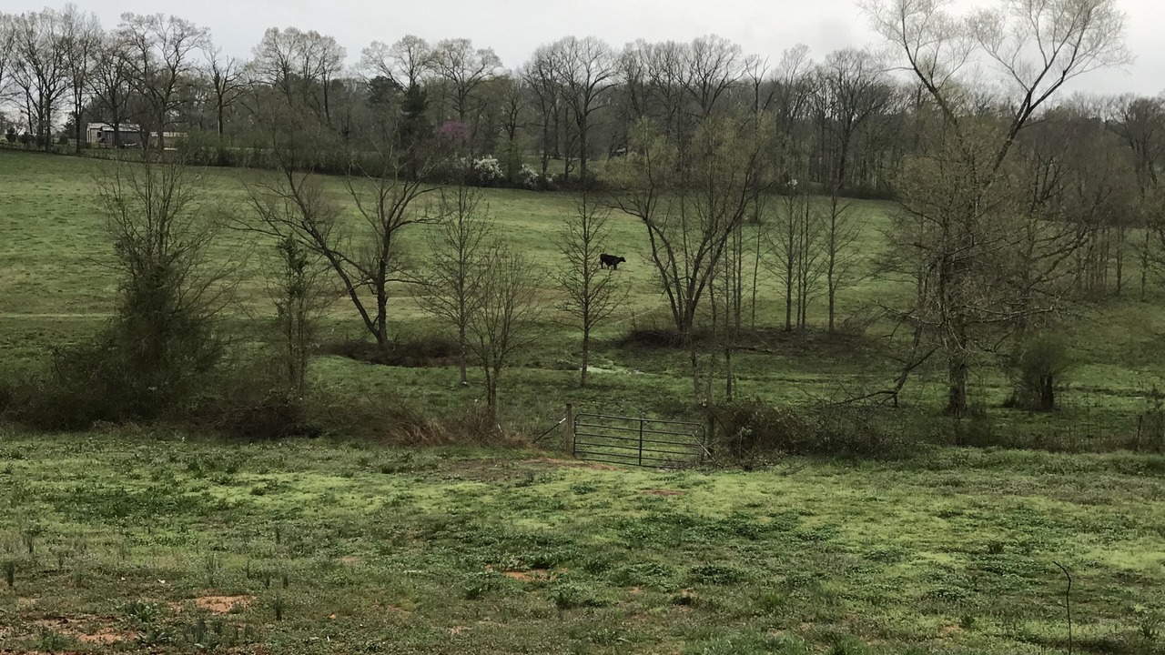Photo of Outdoor in Pearcy