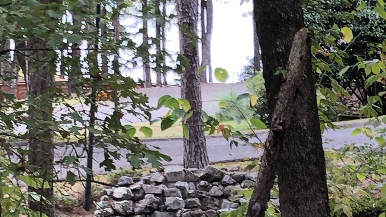 Photo of Outdoor in Hot Springs Village