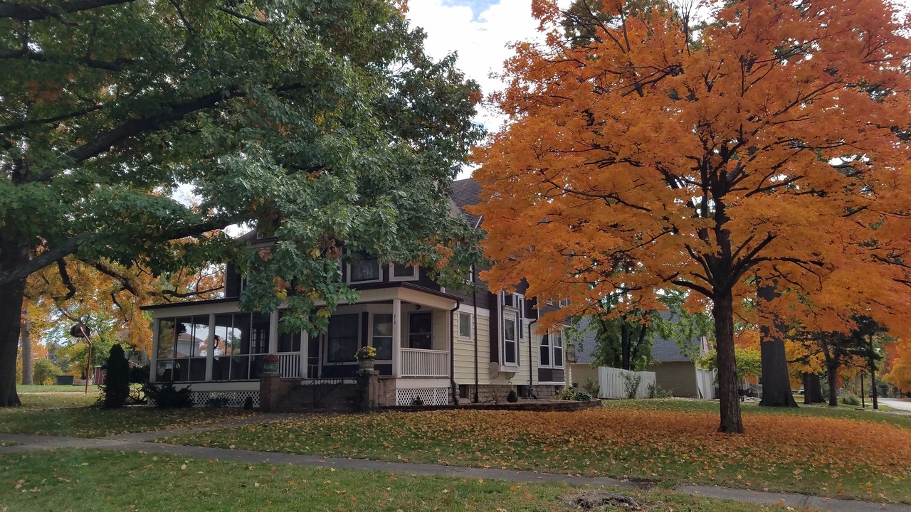 Photo of Outdoor in Baldwin City