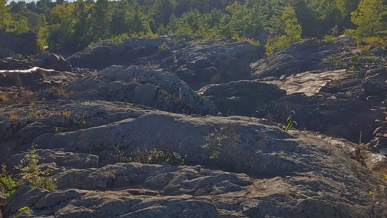 Photo of Others in Merrillan