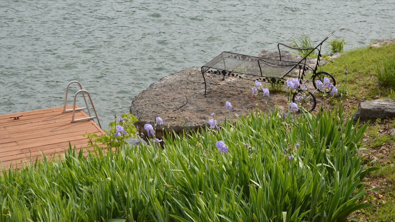 Photo of Outdoor in Bella Vista