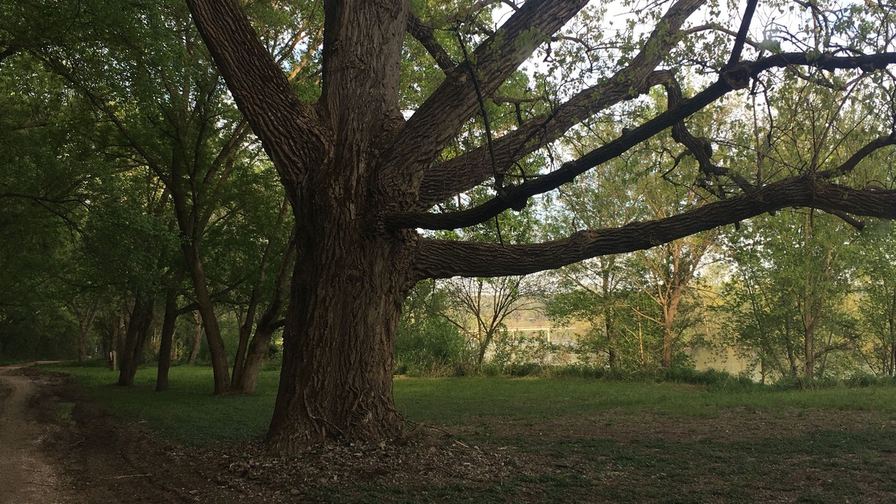 Photo of Others in Calico Rock
