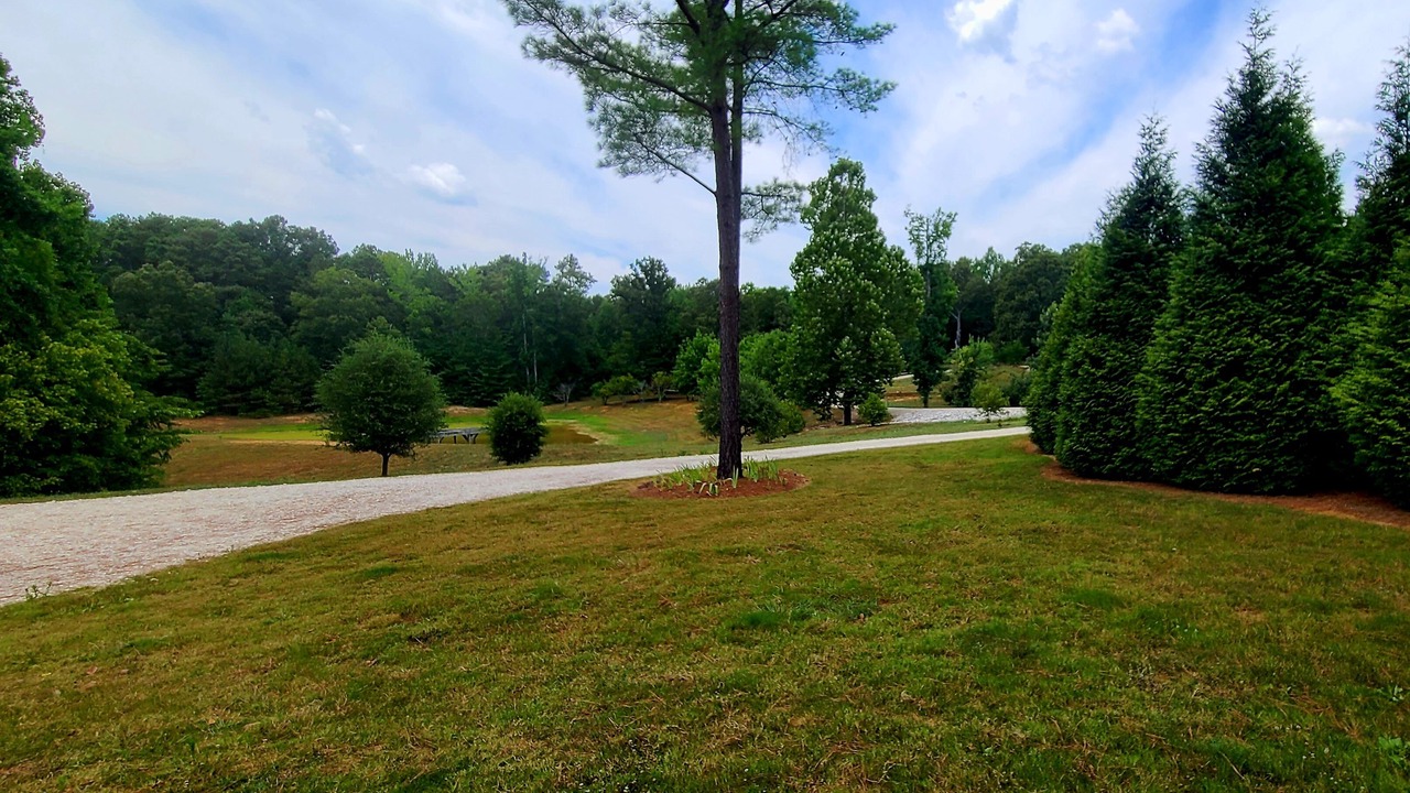 Photo of Outdoor in Springville