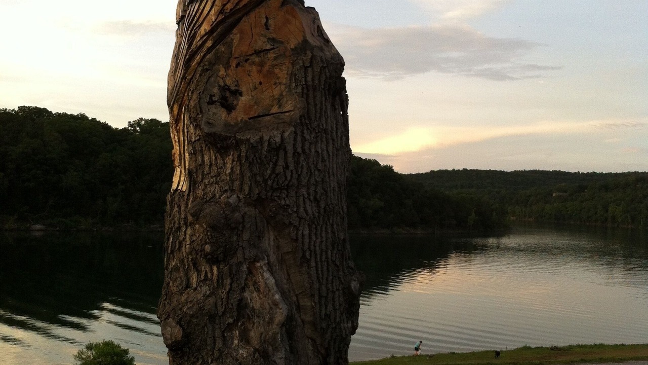 Photo of Outdoor in Holiday Island