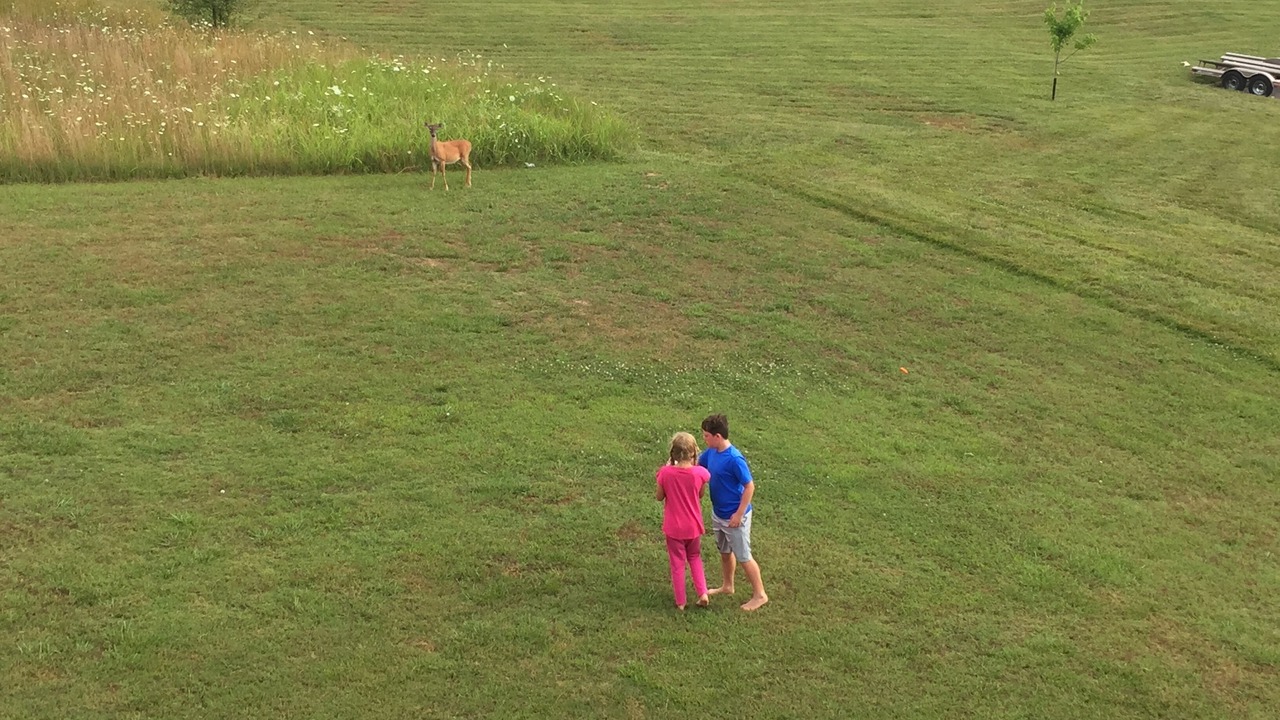 Photo of Others in Holiday Island