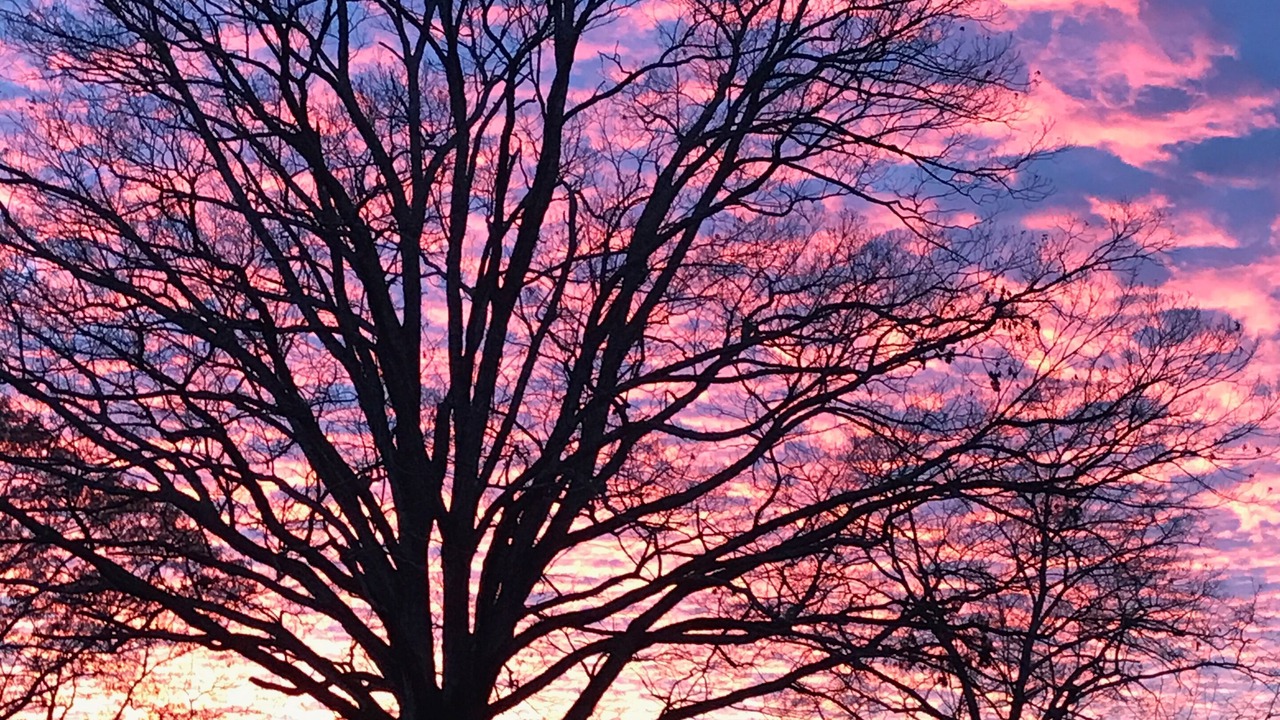 Photo of Outdoor in Pearcy