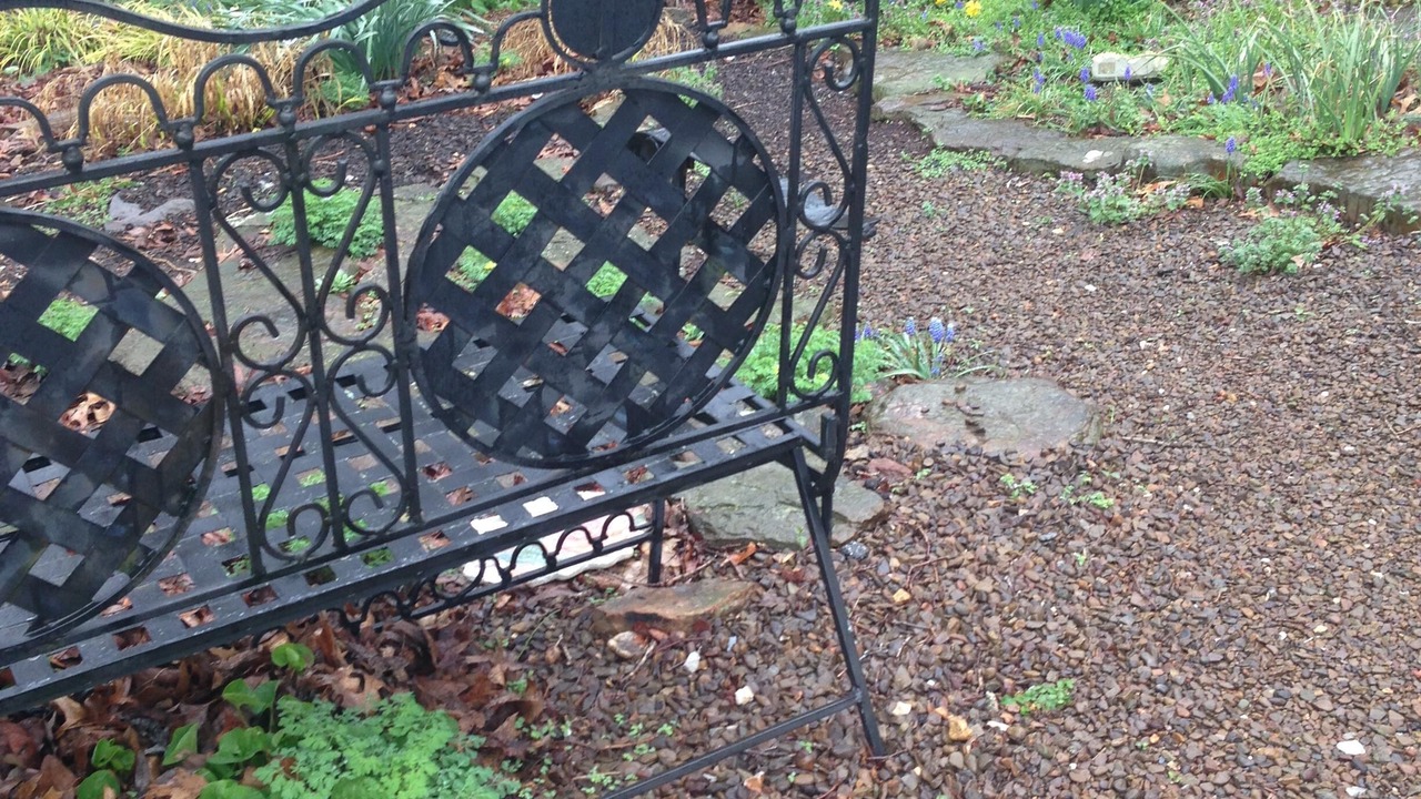 Photo of Outdoor in Bella Vista