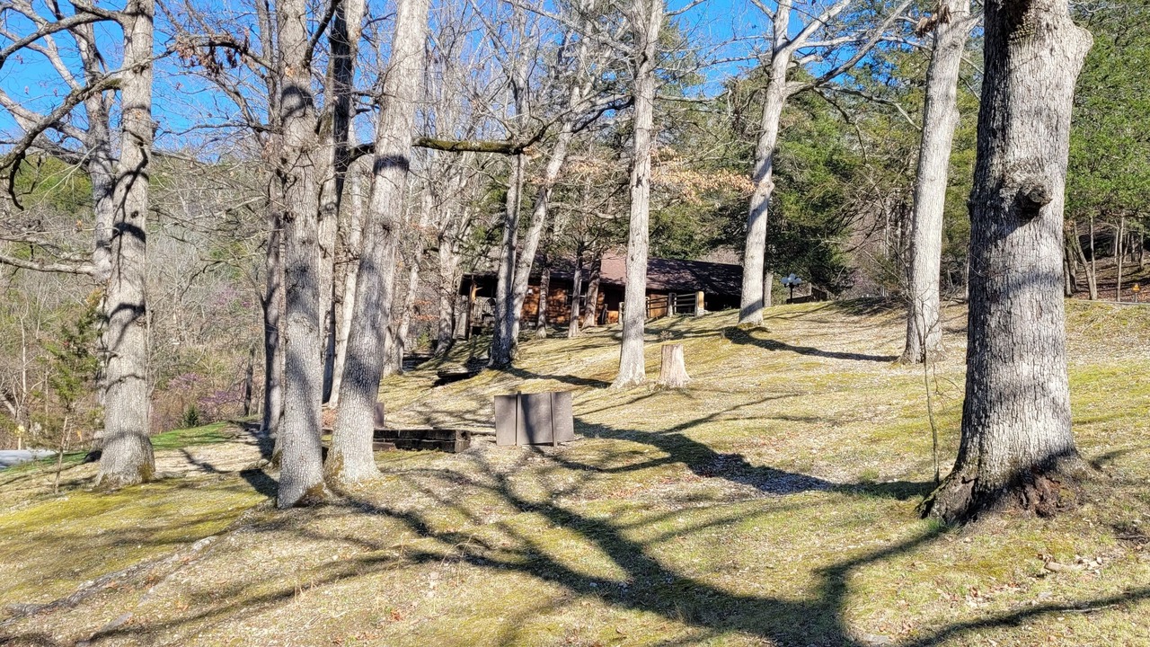 Photo of Others in Sylvan Shores