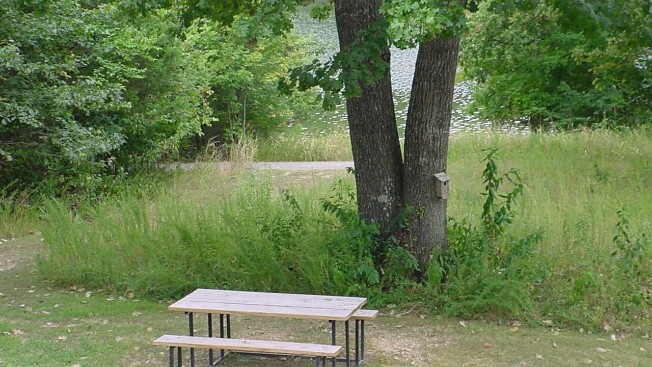 Photo of Others in Holiday Island