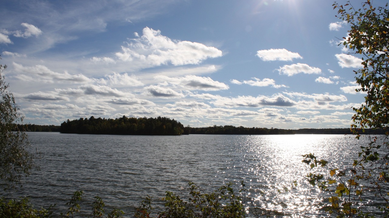 Photo of Others in Birchwood