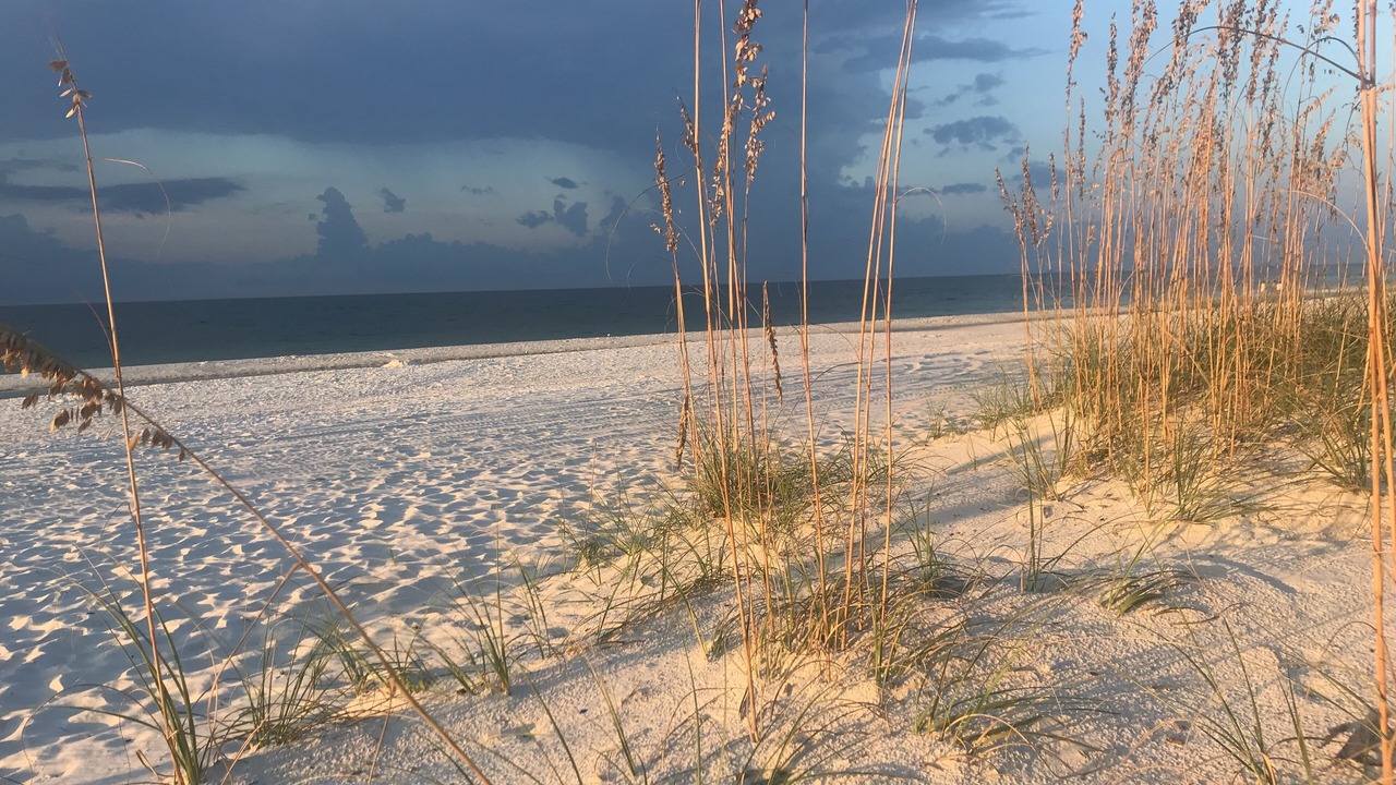 Photo of Others in Gulf Shores