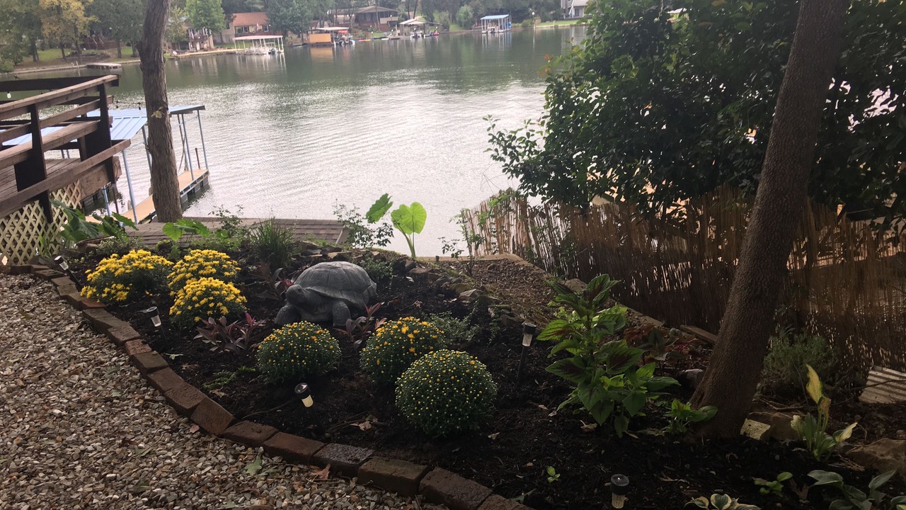 Photo of Outdoor in Piney