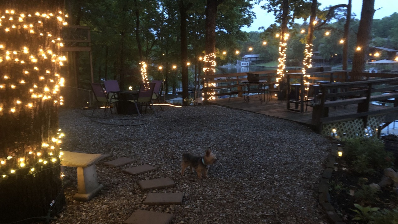 Photo of Outdoor in Piney