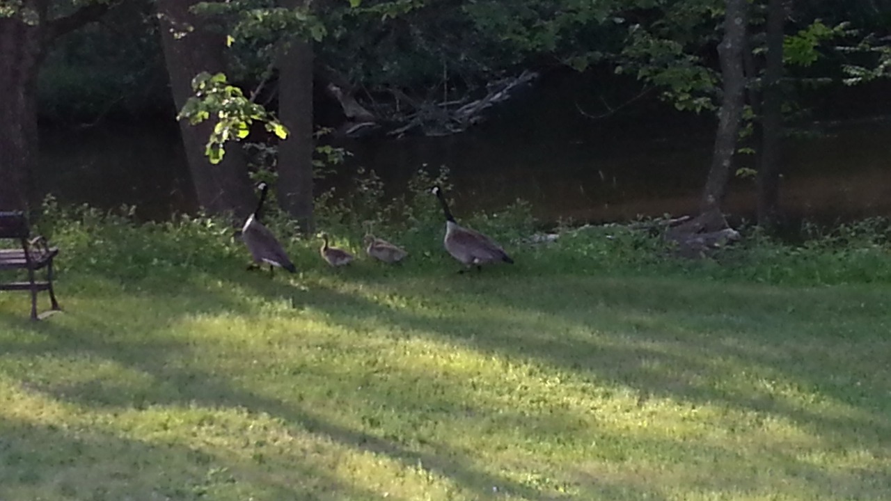 Photo of Others in Amherst